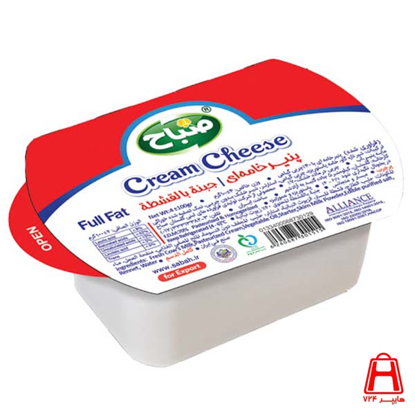 Cream cheese 100 g packaged