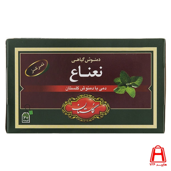 Golestan Herbal tea mint 20 pcs