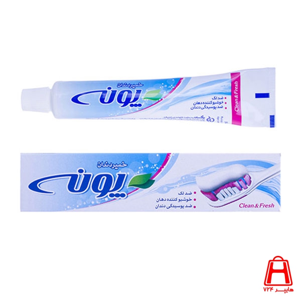 Pooneh Toothpaste 80 g monochrome with laminated tube