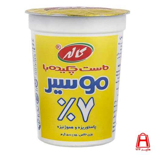 Shallot yogurt 500 g 7 fat