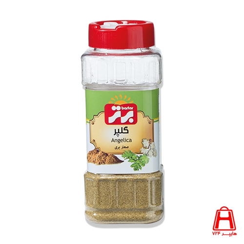 angelica-spice-salt-shaker-Bartar-75-gr