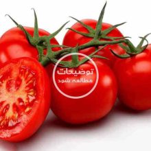 گوجه فرنگی (کیلوگرم)