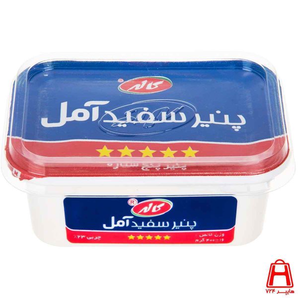 Amol cheese with a cap of 400 g