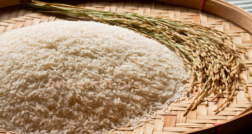 خرید آنلاین برنج ایرانی