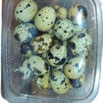 Packed quail eggs
